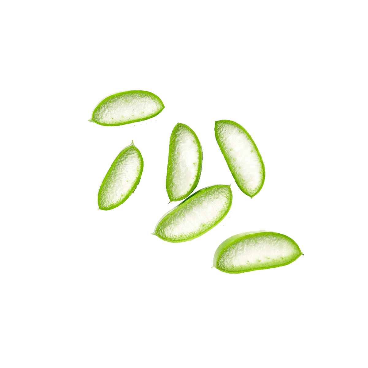 Aloe Juice