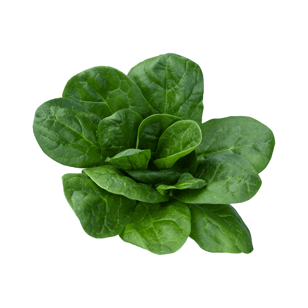 Spinach