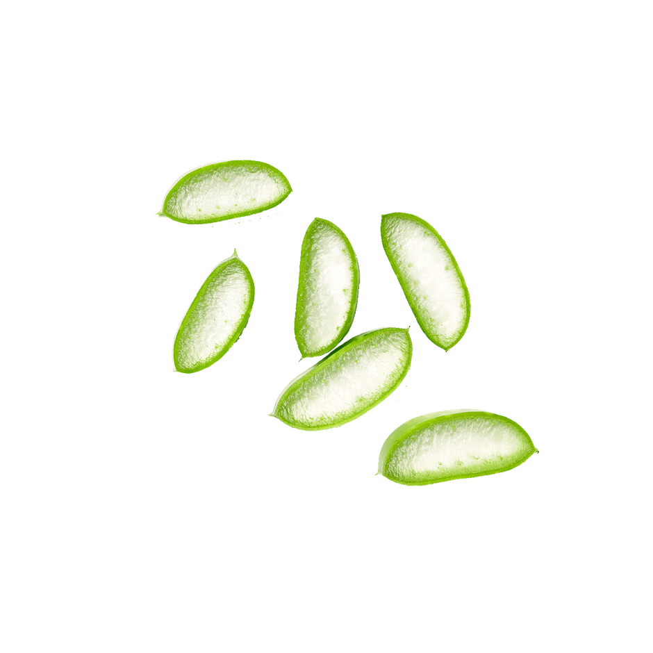 Aloe Juice